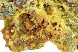 Orange Pyromorphite Crystal Cluster - DR Congo #322646-1